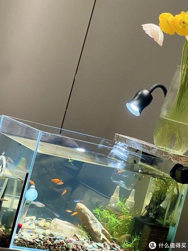 水族箱手机版水族箱照明灯具