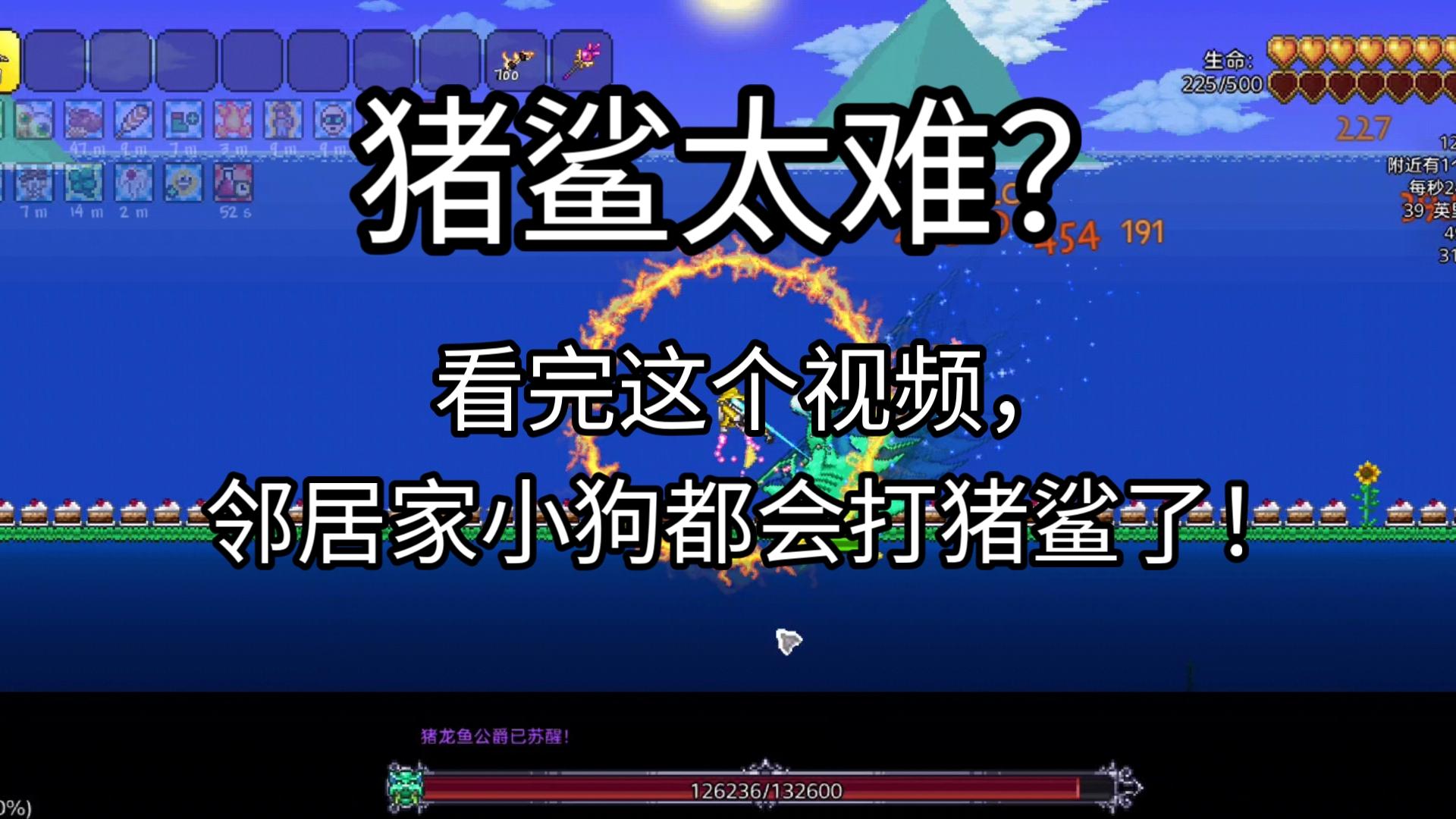 手机版泰拉瑞亚的猪鲨泰拉瑞亚怎么打猪鲨公爵