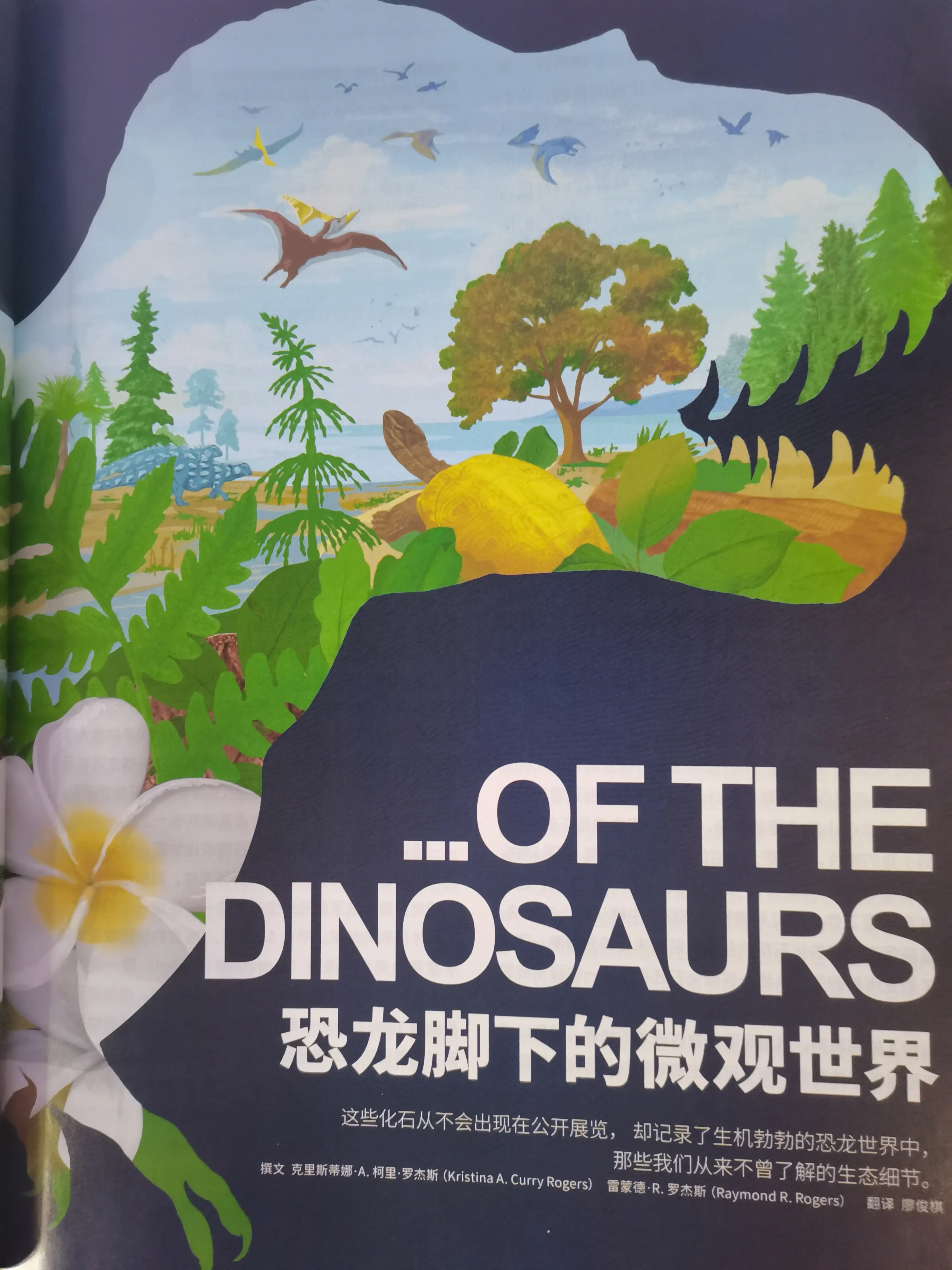 环球科学安卓版环球币下载安卓版
